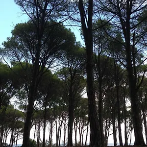  Bauernhof Cavalli Di S'arcaite